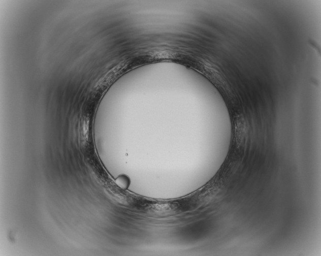 X0000099940406200806131430