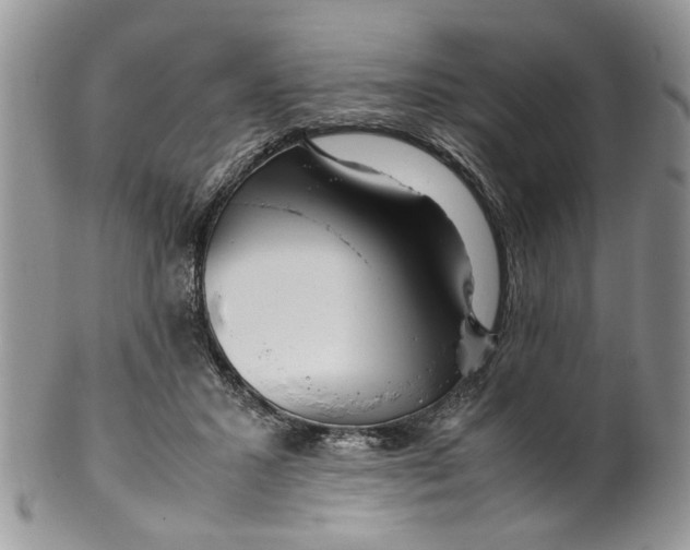 X0000099940407200806131430