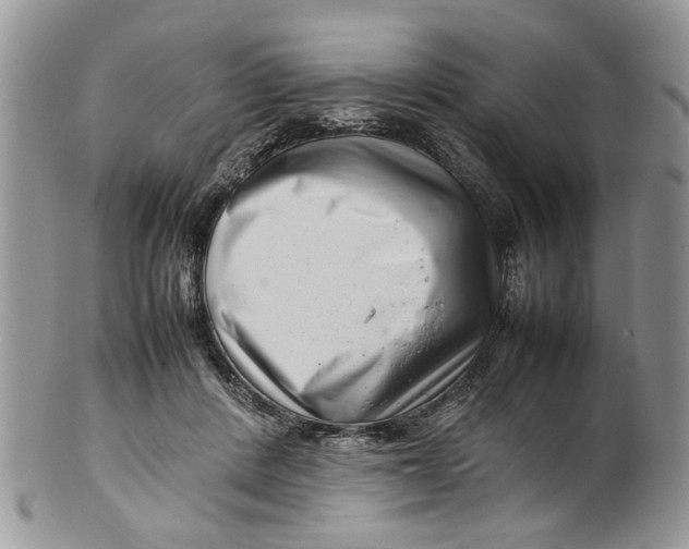 X0000099940408200806131430