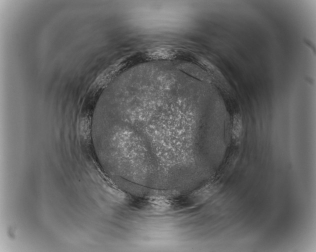 X0000099940409200806131430