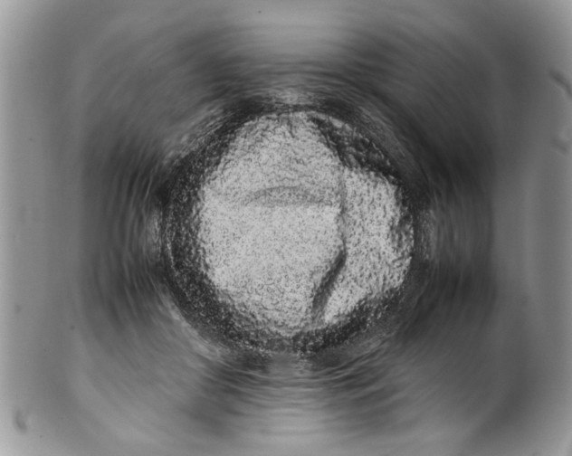 X0000099940410200806131430