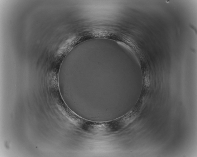 X0000099940411200806131430