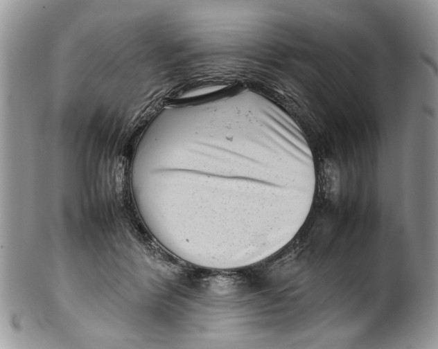 X0000099940412200806131430