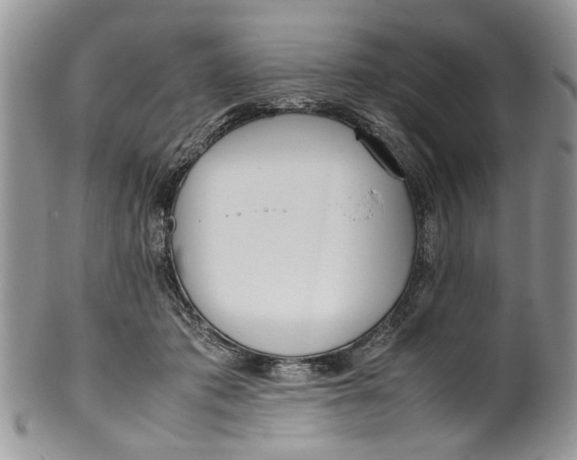 X0000099940413200806131429