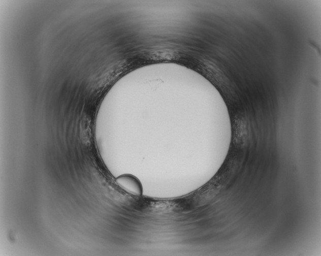 X0000099940414200806131429