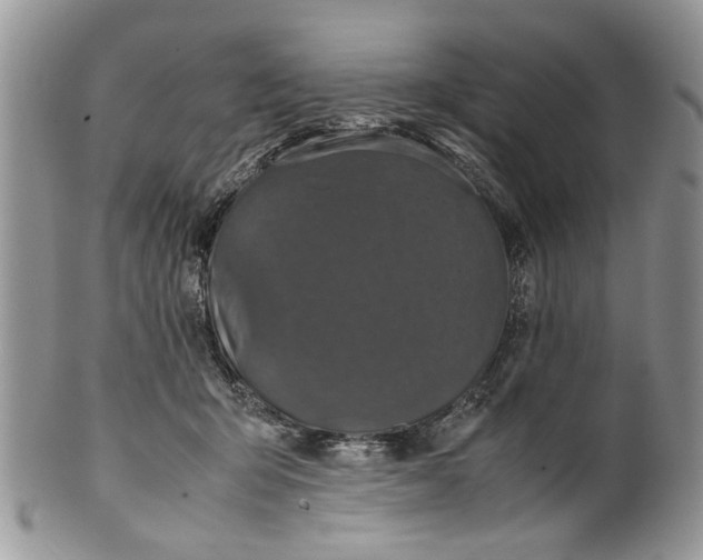 X0000099940415200806131429