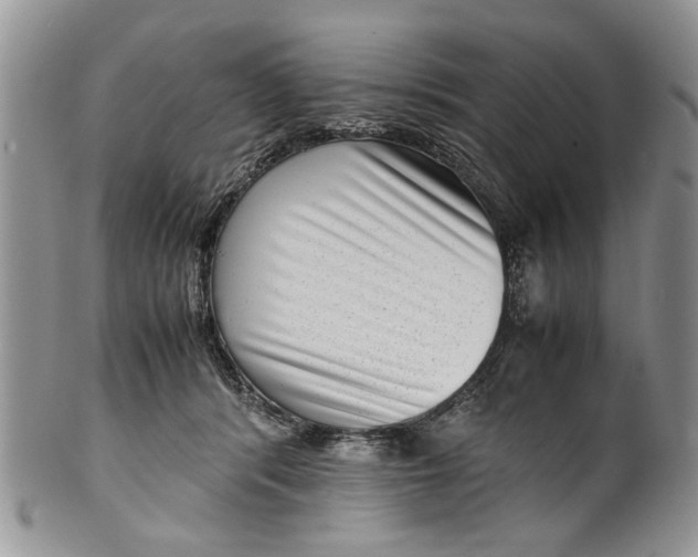 X0000099940416200806131429