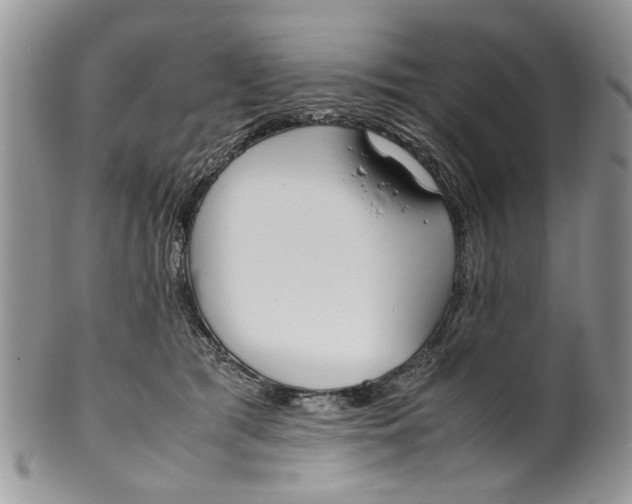 X0000099940417200806131429