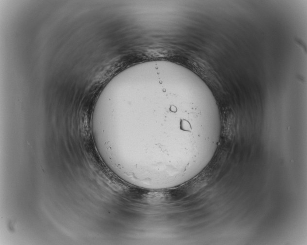 X0000099940418200806131429