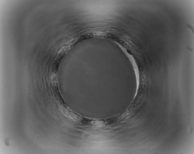 X0000099940419200806131429