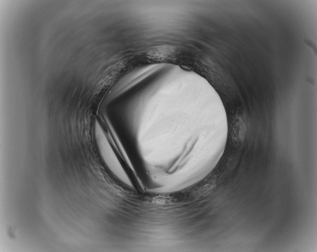 X0000099940420200806131429