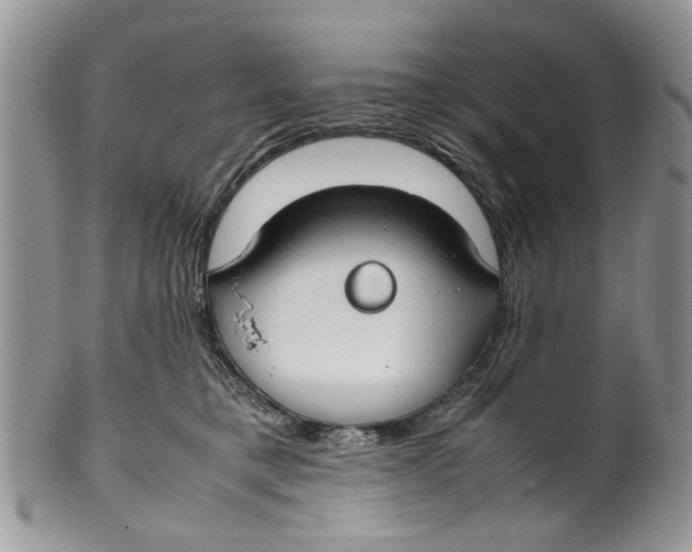 X0000099940421200806131429