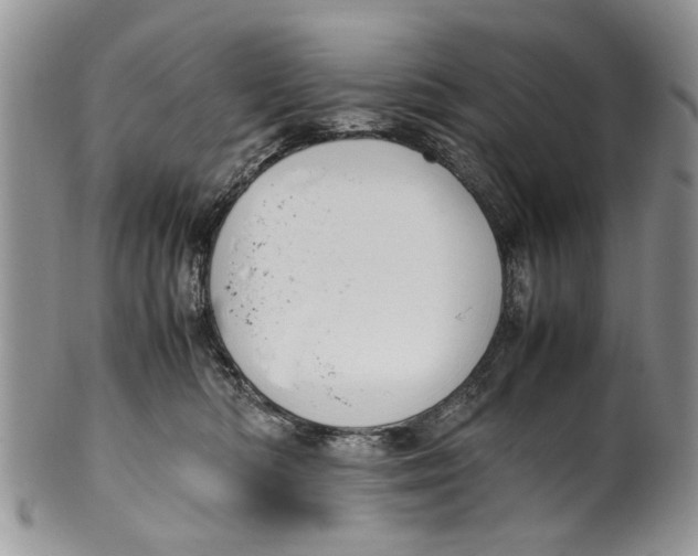 X0000099940422200806131429