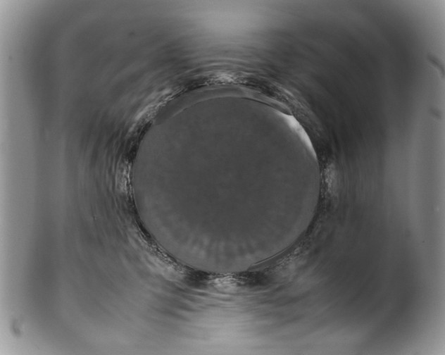 X0000099940423200806131429