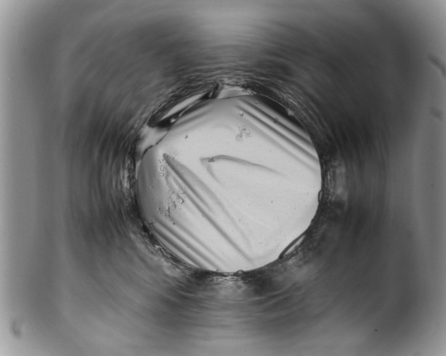 X0000099940424200806131429