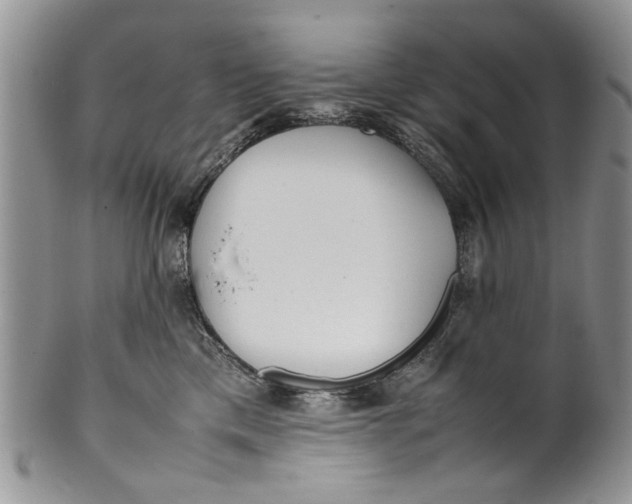 X0000099940425200806131429