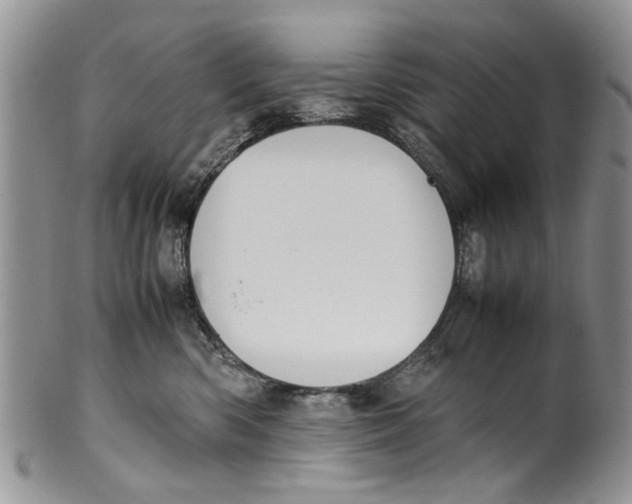 X0000099940426200806131429