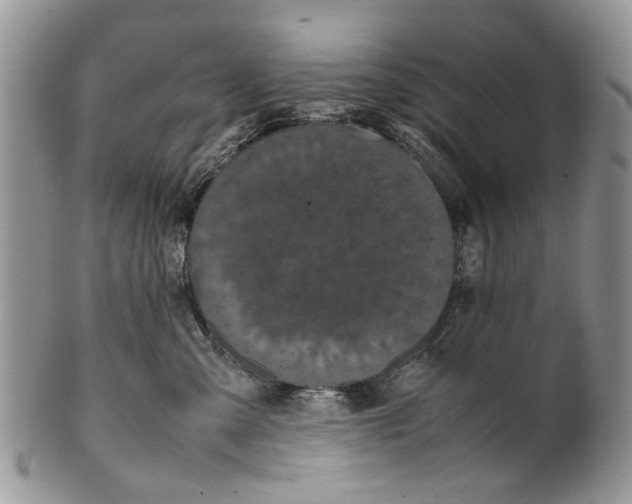 X0000099940427200806131429