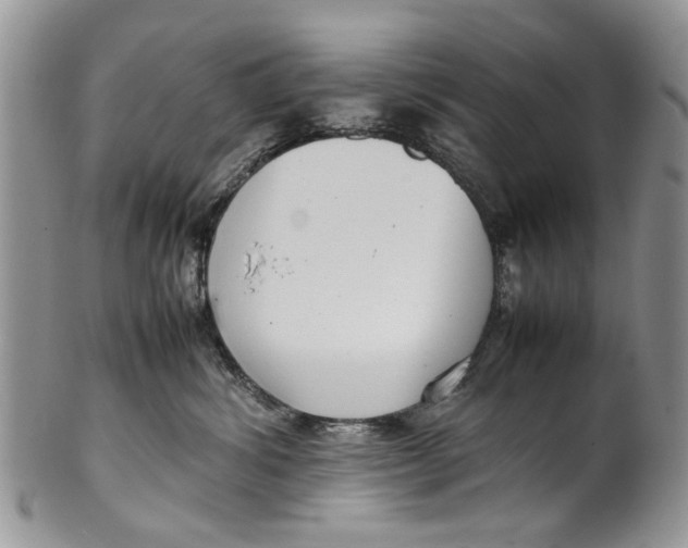 X0000099940428200806131429