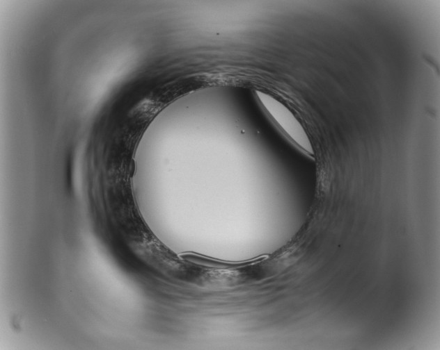 X0000099940429200806131429