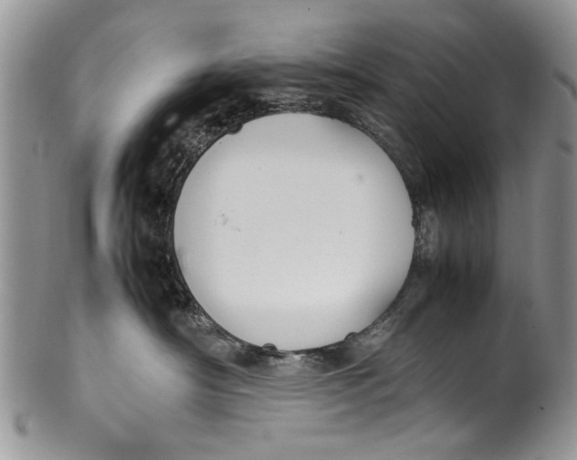 X0000099940430200806131429