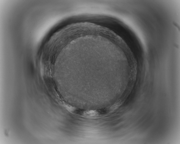 X0000099940431200806131429