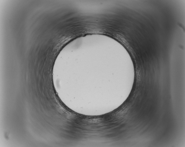 X0000099940433200806131429