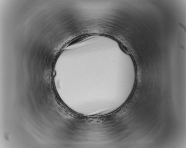 X0000099940434200806131429