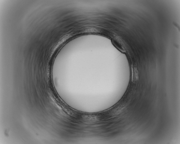 X0000099940435200806131429