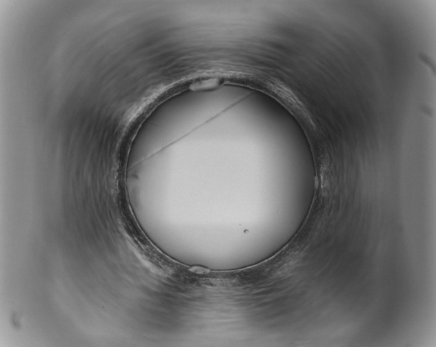 X0000099940436200806131429