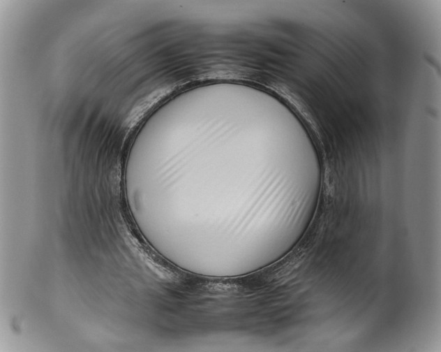 X0000099940437200806131429