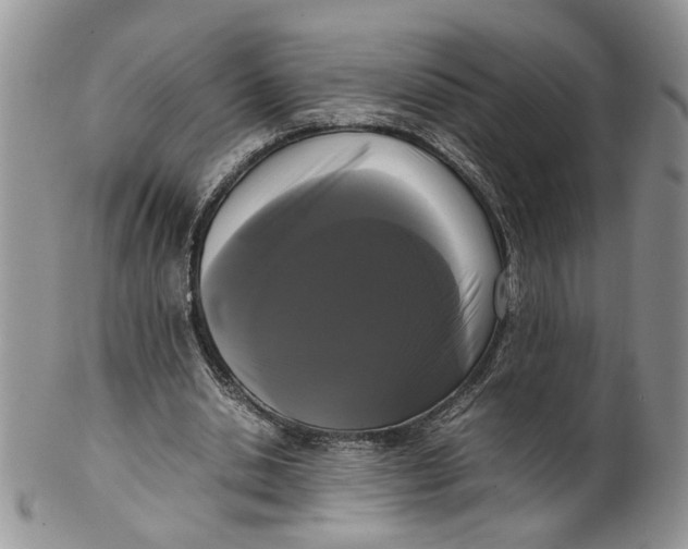 X0000099940438200806131429