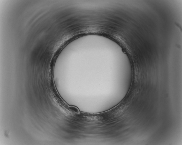 X0000099940439200806131429