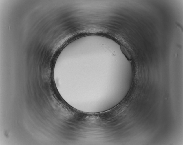 X0000099940440200806131429