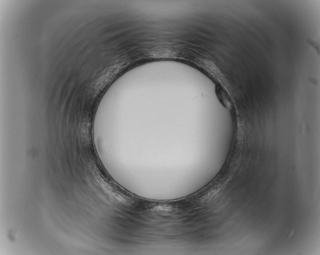 X0000099940441200806131429