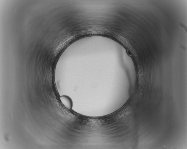 X0000099940442200806131429