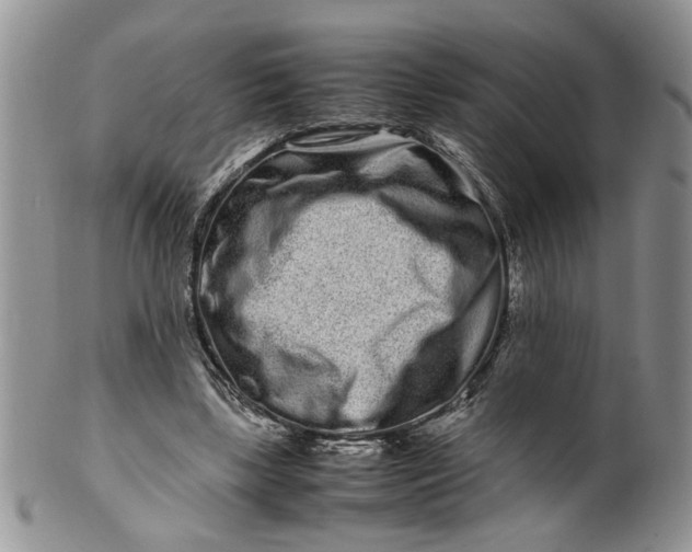 X0000099940443200806131429