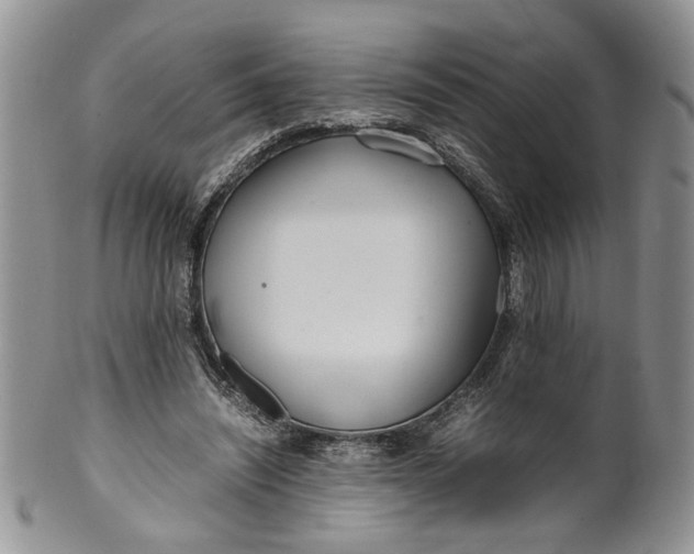 X0000099940444200806131429