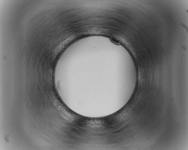 X0000099940445200806131429