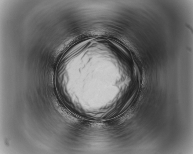 X0000099940446200806131429