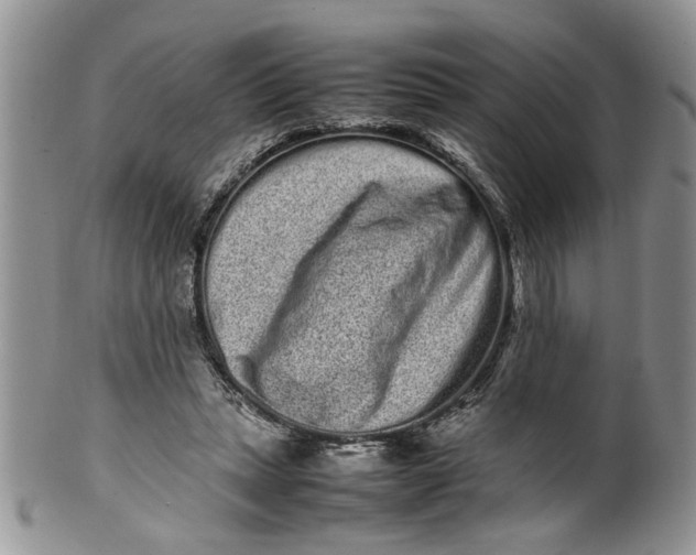 X0000099940447200806131429