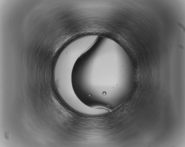 X0000099940448200806131429