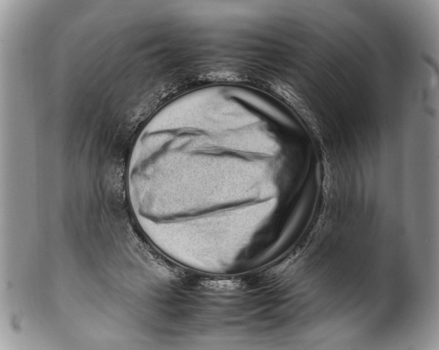 X0000099940449200806131429