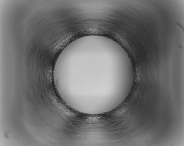 X0000099940450200806131429