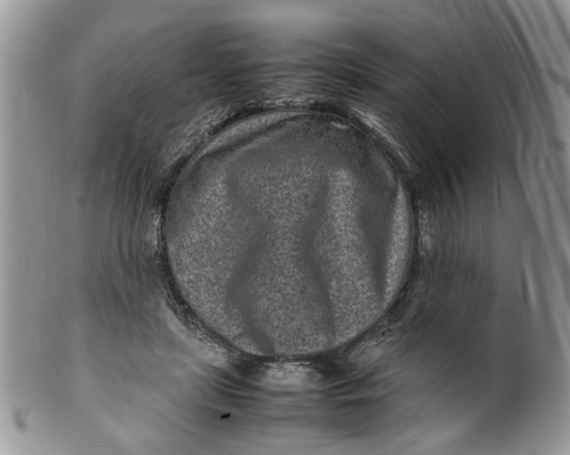 X0000099940451200806131429