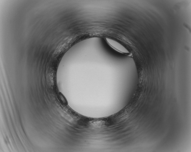 X0000099940452200806131429