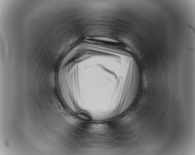 X0000099940453200806131429