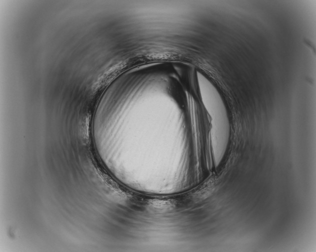 X0000099940454200806131429