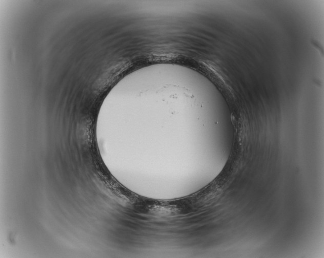 X0000099940455200806131429