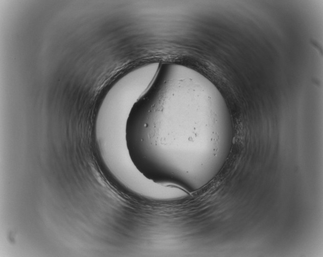 X0000099940456200806131429